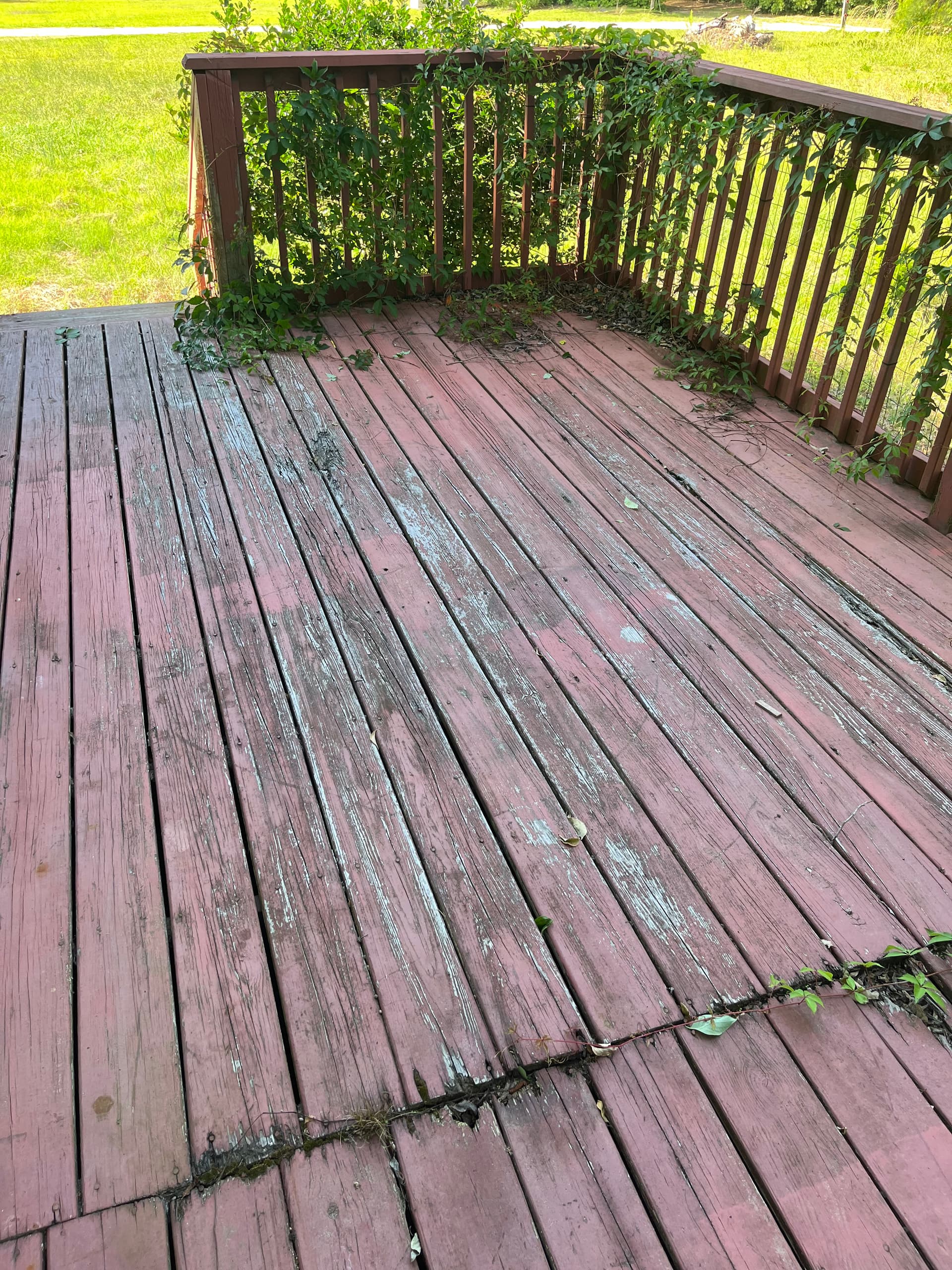 Photo 45